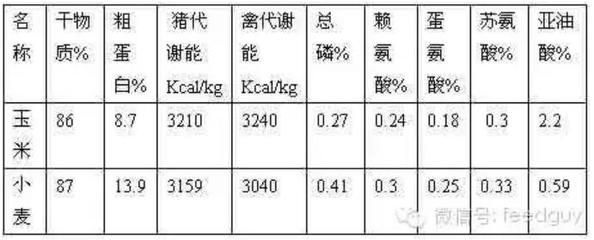 養金龍魚放海鹽嗎：飼養金龍魚需要加海鹽嗎？科學解析鹽分對金龍魚的影響 養金龍魚放海鹽嗎：飼養金龍魚需要加海鹽嗎？科學解析鹽分對金龍魚的影響 龍魚百科 第2張