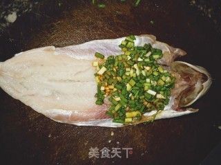 龍魚家常做法竅門是什么:清蒸龍魚香氣提升秘訣番茄龍魚酸甜口味調配竅門 龍魚百科 第1張 龍魚家常做法竅門是什么:清蒸龍魚香氣提升秘訣番茄龍魚酸甜口味調配竅門 龍魚家常做法竅門是什么:清蒸龍魚香氣提升秘訣番茄龍魚酸甜口味調配竅門 龍魚百科 第1張