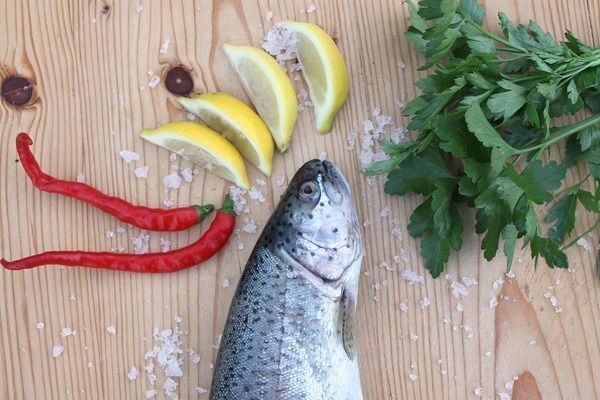 龍魚水霉病藥物治療，治療龍魚水霉病的特效藥
