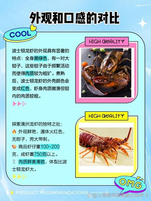 如何區分澳龍與波龍？