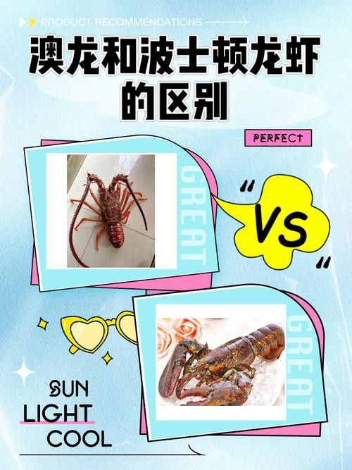 如何區分澳龍與波龍？