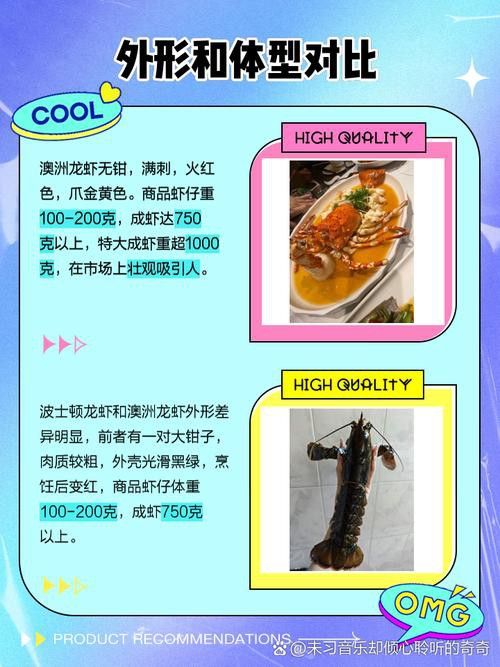 如何區分澳龍與波龍？