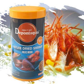 龍魚魚食哪個牌子好一點耐用的：龍魚飼料哪個牌子好