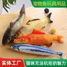 小火龍魚有哪些互動玩具