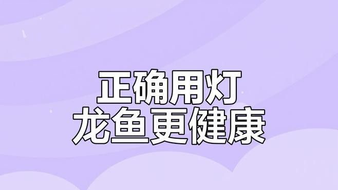 金龍魚發(fā)色需要哪些燈光顏色？