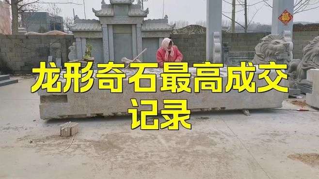 玉石龍的價(jià)格范圍是多少？