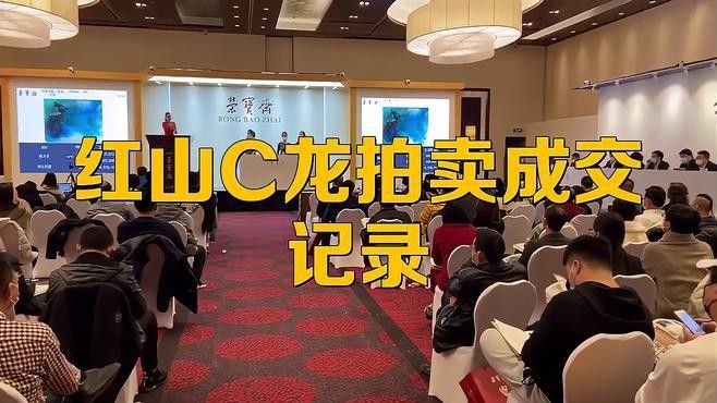 玉石龍的價(jià)格范圍是多少？