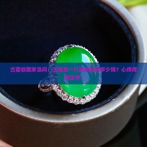 玉石龍的價(jià)格范圍是多少？