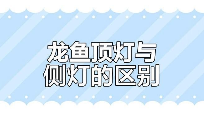 紅龍養(yǎng)殖中，側(cè)燈和頂燈哪個(gè)更重要？