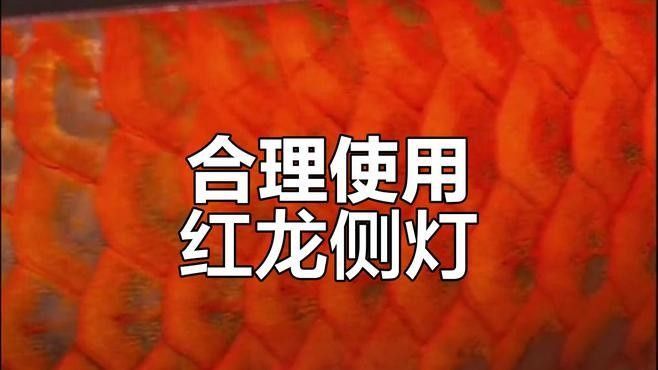 龍魚誘色燈與普通燈有什么分別
