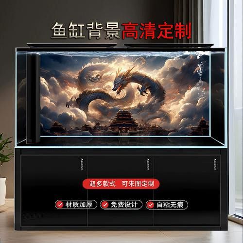 推薦一些適合龍魚缸的背景圖片