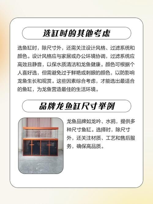 金龍魚魚缸尺寸推薦