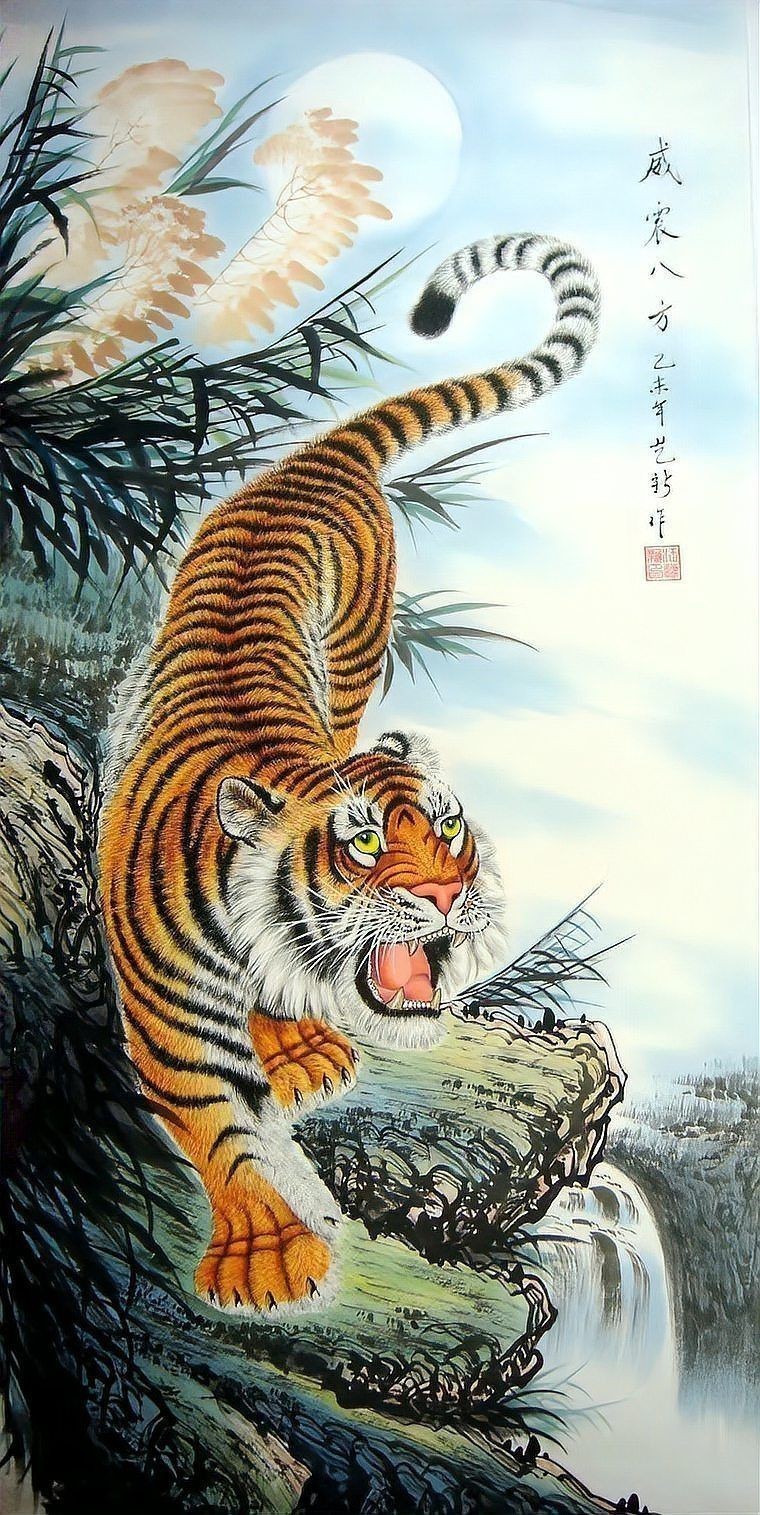 老虎圖片大全大圖