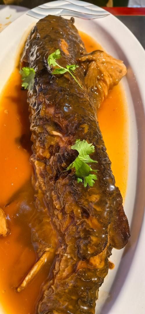太原龍魚哪家好吃啊
