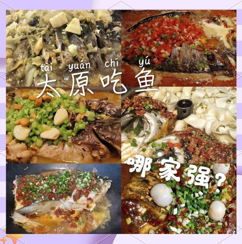 太原龍魚哪家好吃啊