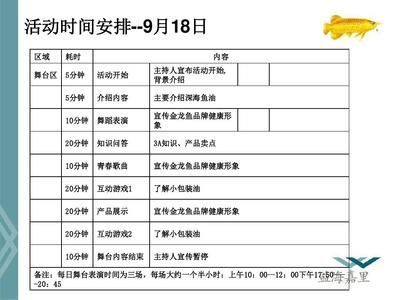 金龍魚活動方案：關于金龍魚活動方案