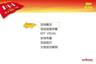 金龍魚活動方案：關于金龍魚活動方案