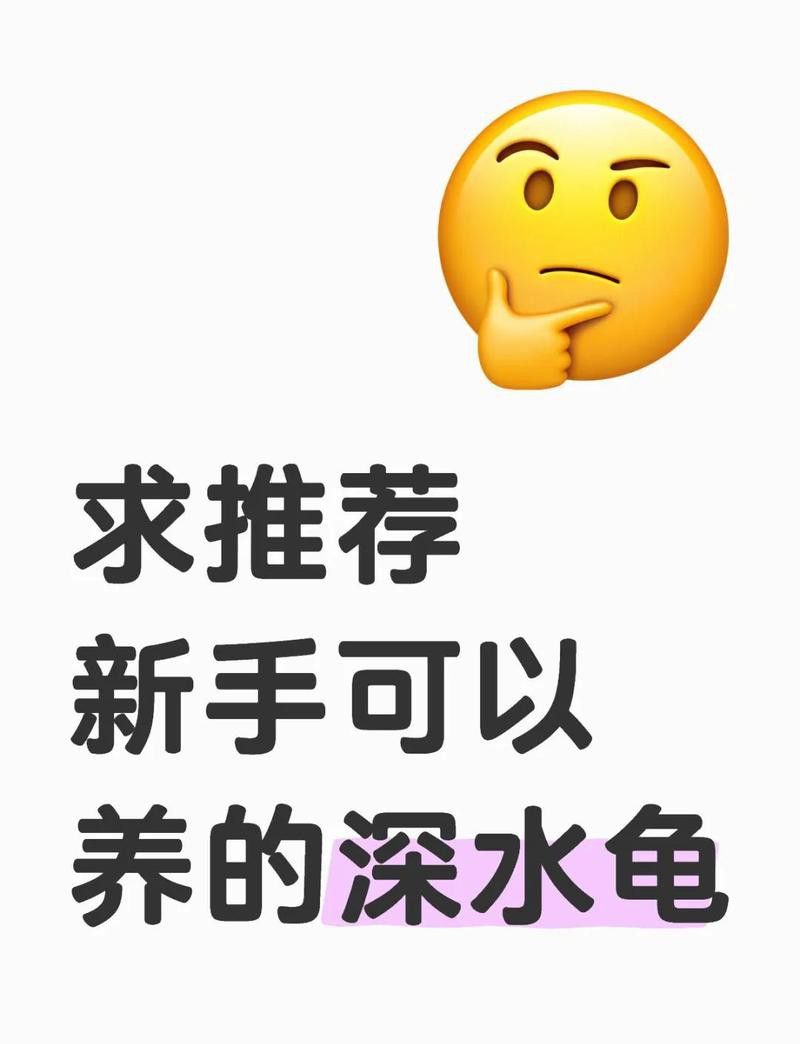 40公分寬魚缸需要多大的過濾系統？
