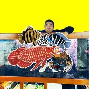 沉木對雷龍魚水質(zhì)的影響：沉木對雷龍魚水質(zhì)的影響是多方面的沉木對雷龍魚水質(zhì)的影響