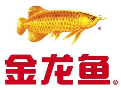 金龍魚為什么是金色的魚：金龍魚為什么會呈現金色？