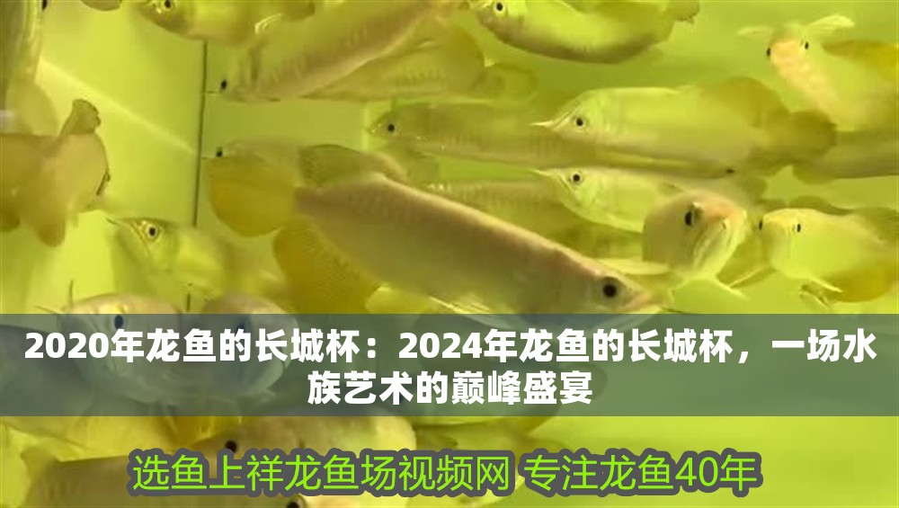 2020年龍魚的長城杯：2024年龍魚的長城杯，一場水族藝術的巔峰盛宴