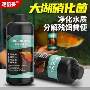 速倍妥飼料購買渠道：速倍妥飼料怎么樣