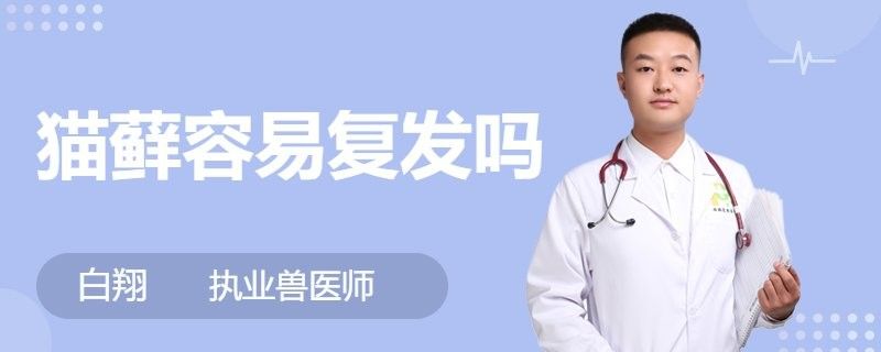 龍貓真菌感染會復發嗎？