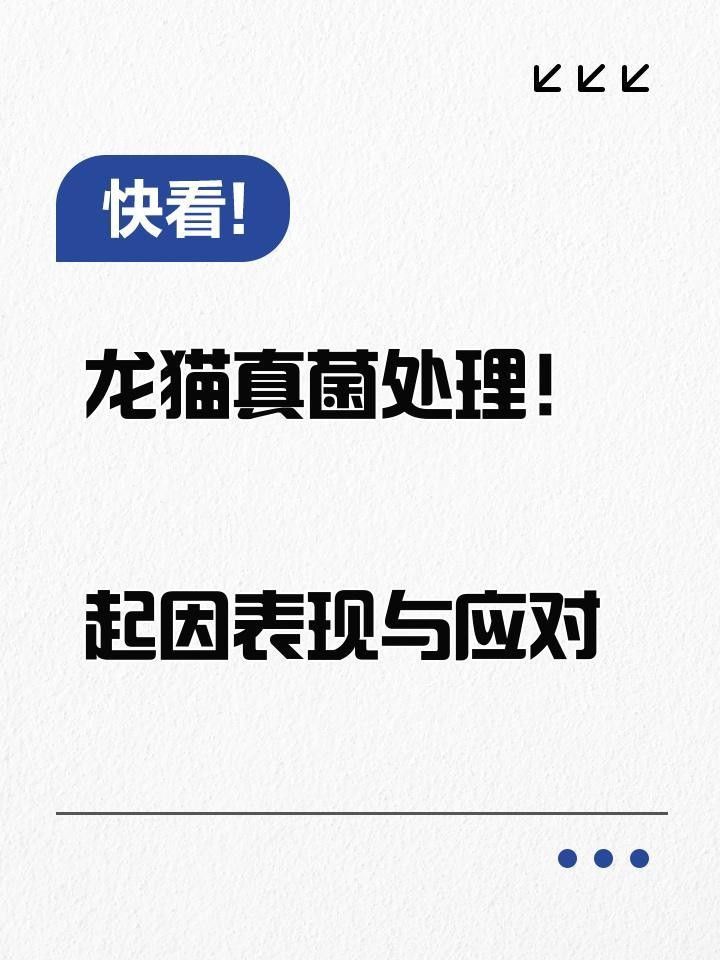 龍貓真菌感染會復發嗎？