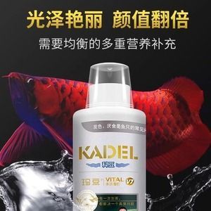 龍魚藥物中毒可以下vc？（龍魚藥物中毒可以下vc嗎）