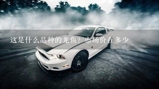 龍魚品牌怎么做的：龍魚品牌以其獨特的市場定位和營銷策略共同推動龍魚品牌發展