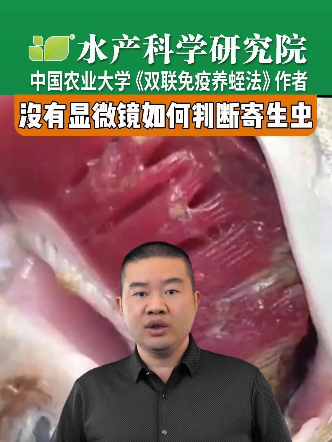 如何判斷魚是否感染寄生蟲？