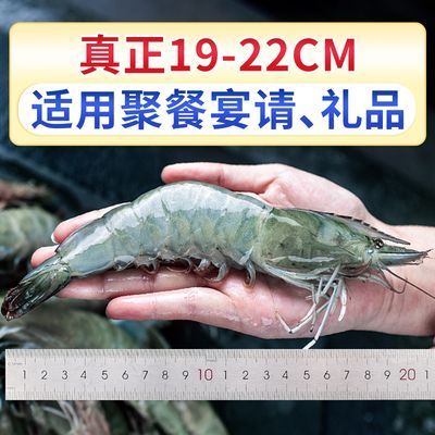 龍魚喂白蝦還是青蝦（如何選擇龍魚飼養的蝦類）
