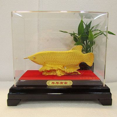 金龍魚24k是什么意思【金龍魚24k代表什么】