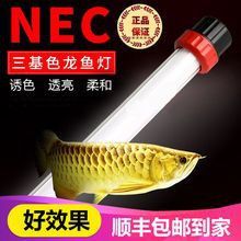 龍魚缸燈的價格范圍是多少？