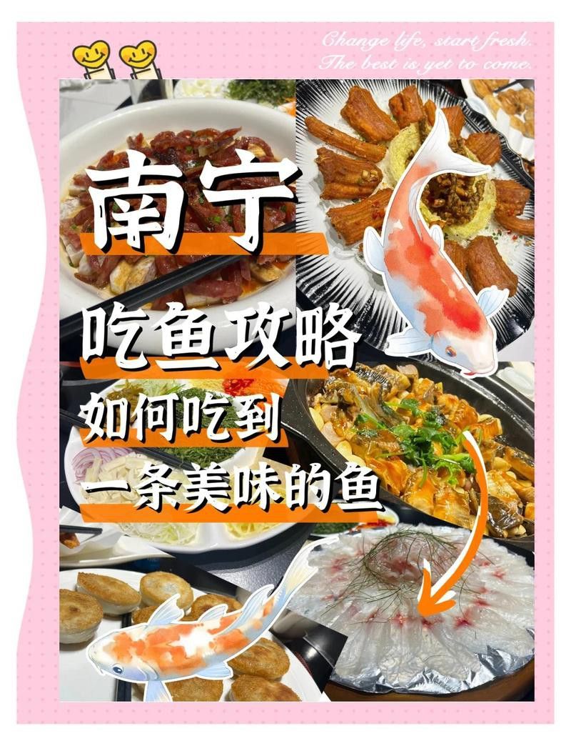 南寧廣龍魚飯店怎么樣啊 南寧廣龍魚飯店怎么樣啊 龍魚百科 第7張