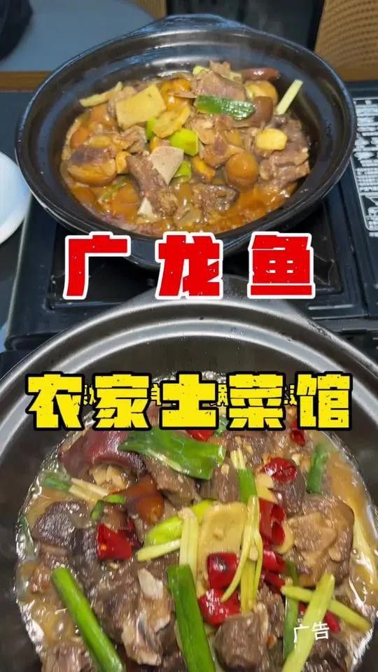 南寧廣龍魚飯店怎么樣啊 南寧廣龍魚飯店怎么樣啊 龍魚百科 第8張