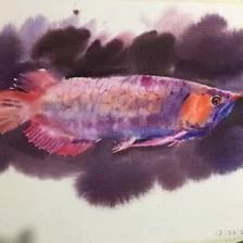 龍魚的畫家有哪些作品名稱