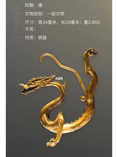 哪里可以找到高清的銅龍圖片？