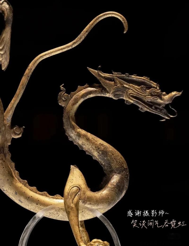 哪里可以找到高清的銅龍圖片？