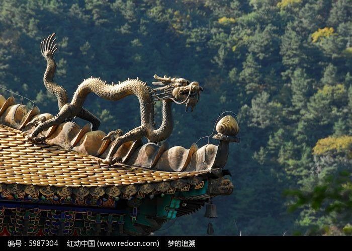 哪里可以找到高清的銅龍圖片？