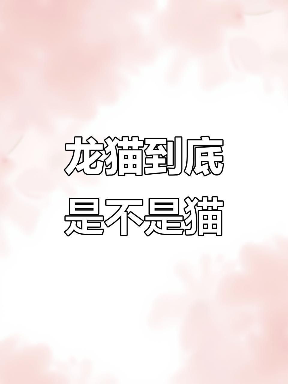 龍貓和貓是親姐妹嗎