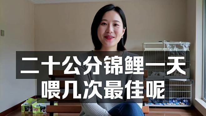 錦鯉幾天喂一次食最好