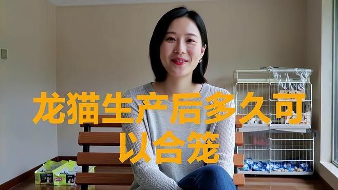 龍貓繁殖后多久可以再配？