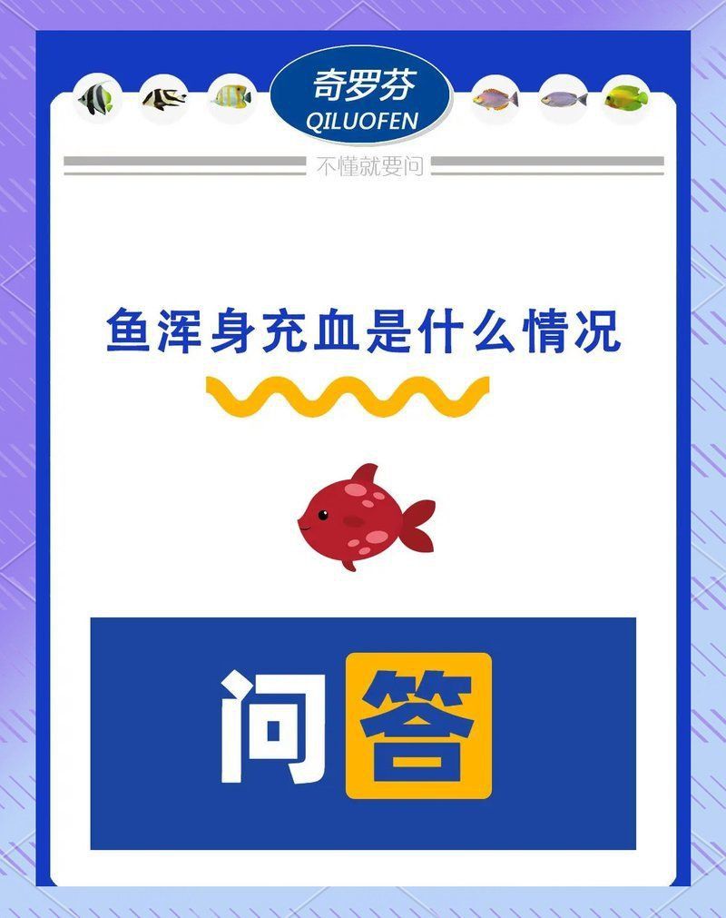 魚身有紅血絲怎么處理
