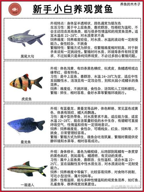 狗頭魚和金龍魚能混養(yǎng)嗎圖片欣賞