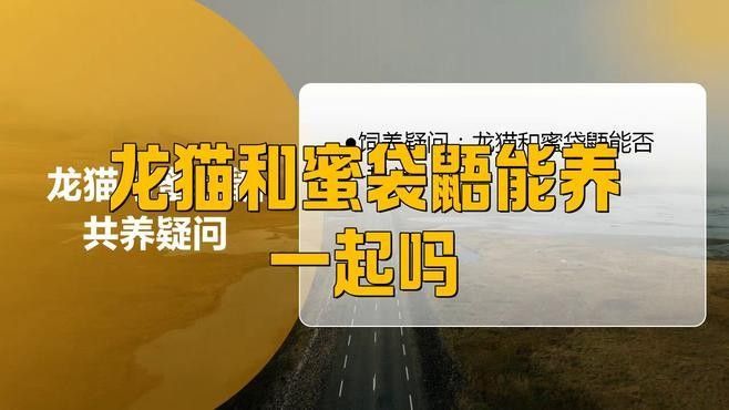 龍貓與哪些寵物可以一起養？