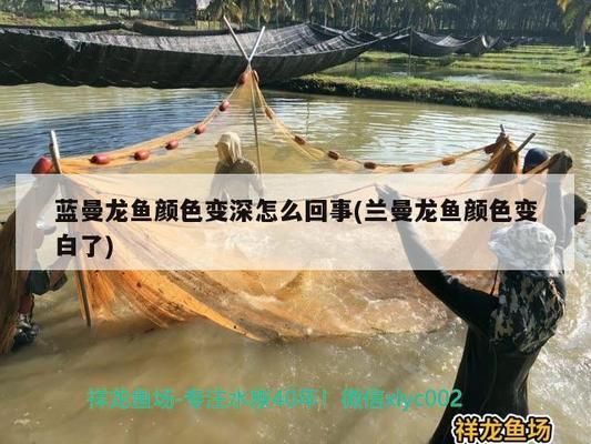 龍魚疾病防治中心電話：青島龍魚醫生的電話號碼