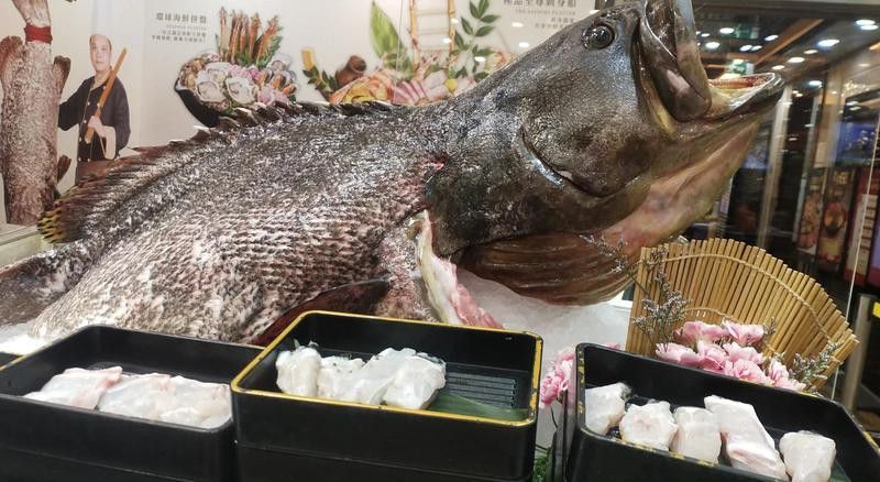 再給我幾個龍躉的造句示例