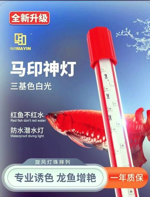 馬印紅光燈具體型號推薦