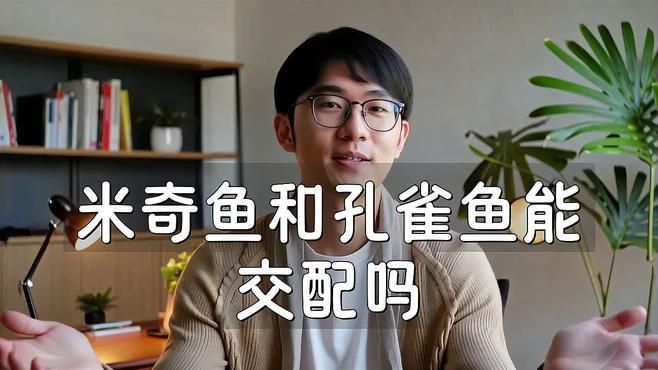 米奇魚和孔雀魚雜交